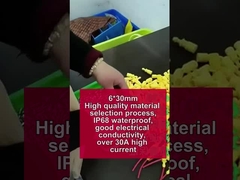 حامل صندوق فيوز سلك أصفر مقاوم للماء 30A 250V 5 * 20mm 6 * 30mm زجاج سيراميك أنبوب