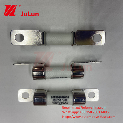 DC750V 10A-100A فيوز الكهربائي المربع للسيارات الكهربائية لتخزين الطاقة 25A 30A 50A EV FUSE