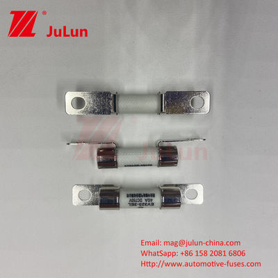 10x38mm السيراميكية مصابيح السيارات الكبسولة مثبتة EV FUSE موثوقية البيئة تتوافق مع ISO8820