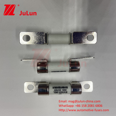ISO8820 أجهزة التخزين السريرية للسيارات 30A 40A 50A 750VDC 10 * 38mm EV325