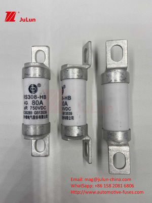 فيوز للسيارات الكهربائية للسيارات الكهربائية لـ DC750V FUSE DC750V 10A 15A 20A 25A 30A لتطبيق السيارات RS308