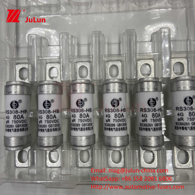 فيوز للسيارات الكهربائية للسيارات الكهربائية لـ DC750V FUSE DC750V 10A 15A 20A 25A 30A لتطبيق السيارات RS308