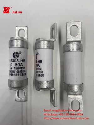 EV Fuse 100A خصائص البناء المعدل 750VDC 10A 25A 50A 63A