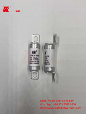 EV RS308 فيوز الصدمة الميكانيكية 25A 30A 40A 50A السيراميكي النحاس الجهد القياسي DC750V المنزل EV شاحن للسيارة الكهربائية
