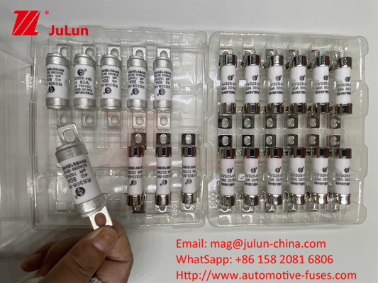 63A RS308 HB فيوز مصفوفة 80A 10A 15A 40A مصابيح السيارات السيراميكية مع مصابيح