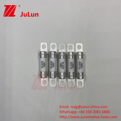نظام تخزين الطاقة للفيوز EV Standard UL248-10A 20A 50A 40A نظام تخزين الطاقة للفيوز 500VDC High Break
