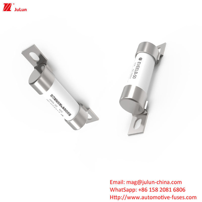 50A 1000V DC High Voltage Electric Vehicle Blade Fuse وحدة التأمين على شفرة المركبة الكهربائية