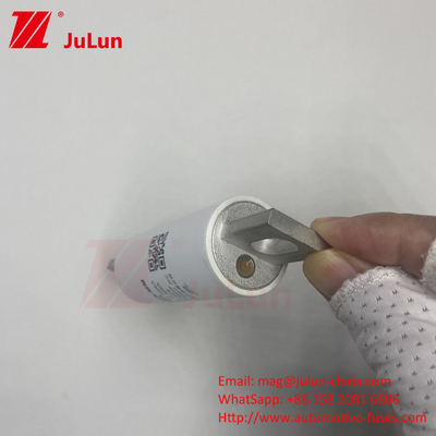 RS309-MM-EV63A للأنابيب المستديرة المزدوجة 1000VDC 50KA EV FUSE 1000VDC