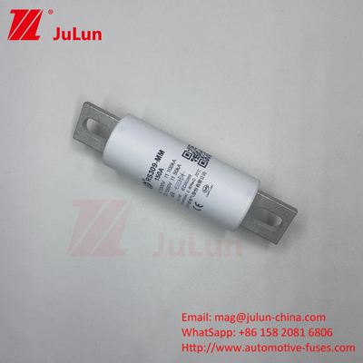RS309-MM-EV63A للأنابيب المستديرة المزدوجة 1000VDC 50KA EV FUSE 1000VDC