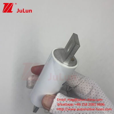 RS309-MM-EV300A الاندماج المتوسط AC 1000VDC 1000VAC في الأنظمة الكهربائية عالية الجهد للسيارات الكهربائية