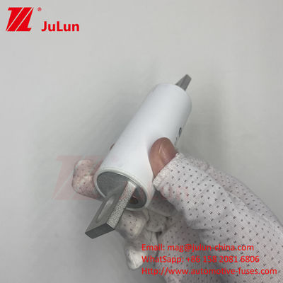 RS309-MM-EV300A الاندماج المتوسط AC 1000VDC 1000VAC في الأنظمة الكهربائية عالية الجهد للسيارات الكهربائية