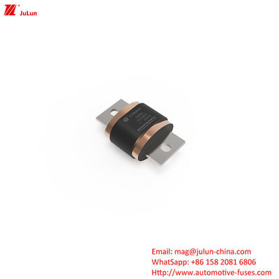 مصابيح الكهرباء للسيارات الطرقية - EV8-MKM DC500V 500A-1000A