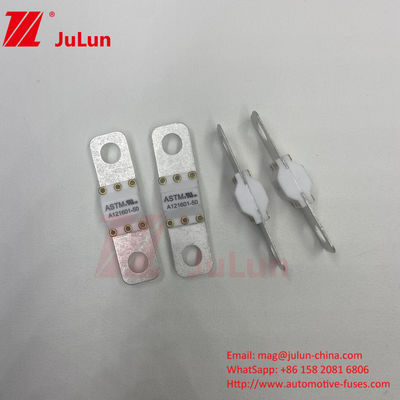 ASTM A121601-60A 125VDC فيوز شحن السيارات الكهربائية فيوز المسمار