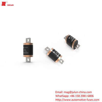 EV8 DC500V 150A 600A 700A 750A 800A 900A 1000A فيوز لسيارات الطرق