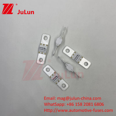ASTM 100A Ev Charger Adapter Fuse متوافق مع Ccs Ev ChargerBolt المسمار 125VDC 10KA 20KA