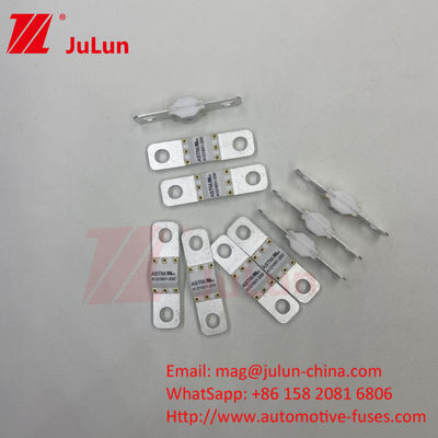 ASTM A121601 125VDC 10KA 20KA فيوز مركبات كهربائية لسيارات الطرق 250A 100A 150A
