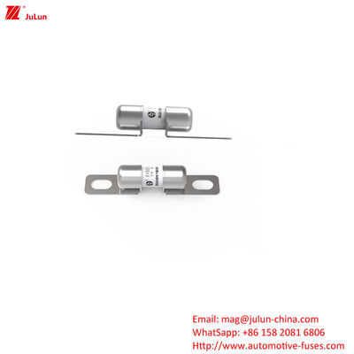 50A DC250V فيوز شاحن المركبات الكهربائية المحمولة مع الاندماج المتوسط