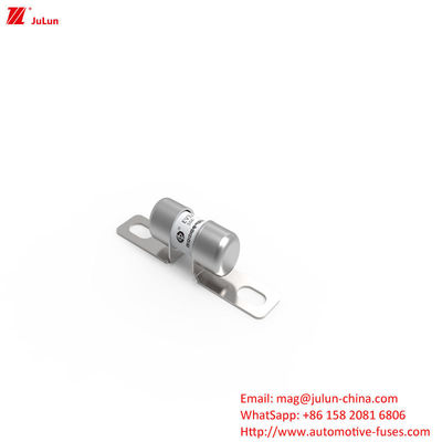 50A DC250V فيوز شاحن المركبات الكهربائية المحمولة مع الاندماج المتوسط