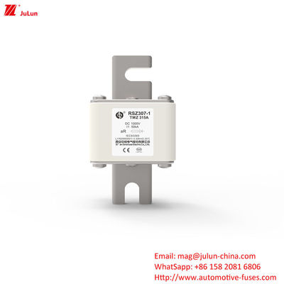 RSZ307 200A-450A DC250V فيوز السيارة الكهربائية