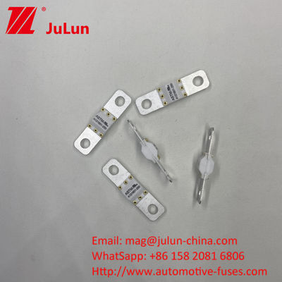 A121601-100A 3KA 6KA 8KA كسر شحن المركبات الكهربائية فيوز السيارات