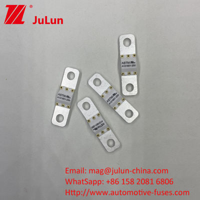 125 في دي سي شاحن بطارية السيارات فيوز A121601-300A بطارية تخزين الطاقة الدراجة النارية