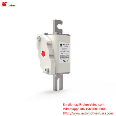 200A DC1000V فيوز الجهد العالي للمعدات الكهربائية مشبك على فيوز لحماية النطاق الجزئي