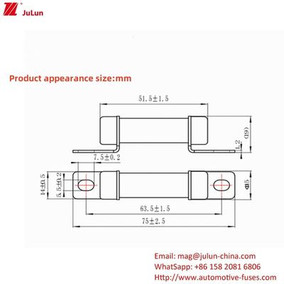 RS309 32A-35A -40A -50A محول شاحن تيار Ev متوافق مع 750VDC الجهد