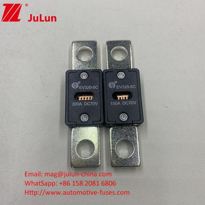 EV320-5X / 5C بطارية السيارات 300A 70VDC فيوز شاحن مع DC فيوز لحماية EV HEV