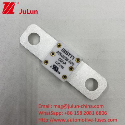 125VDC 200A ANM AMM AEGA ANL CNN CNL فيوز بطارية السيارة للسيارات