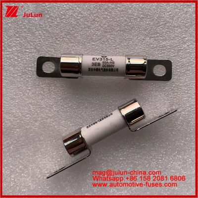 EV315-L 3EB 50A HS 10 * 38mm شاحنة ثقيلة كهربائية خفيفة محول تركيب 500VDC فيوز أنبوبي مع JASO D622 الامتثال