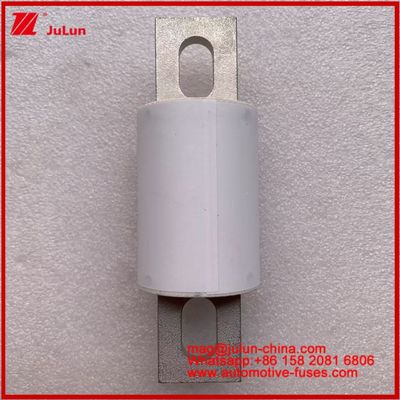 RS309-MD 400A 500VAC 200KA 500VDC 50KA AR الأنبوبية السيراميكية الصمامات السيارات