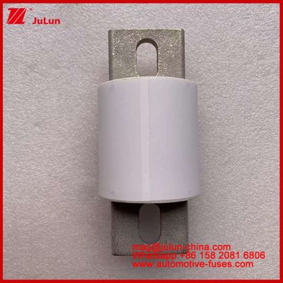 محرك الطاقة أنظمة الطاقة السيراميكية الذخائر الآلية RS309-MD 600A 500VAC 200KA 500VDC 50KA AR أنابيب المركبات الكهربائية 30-800A
