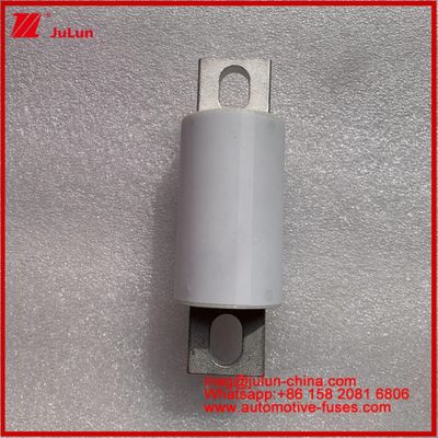 500A 400A RS309-MF EVE 750VDC ((UL) المركبات الطرقية القنابل السيراميكية تخزين الطاقة أنظمة الطاقة الشاحنات الأسلاك أجهزة السيارات والمعدات 20KA