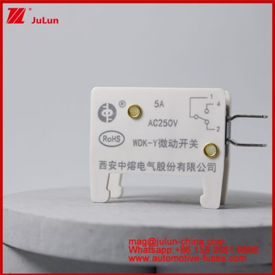 WDK-Y 5A 250V المفتاح الميكرو مصباح السيارة الصعودي للسيارات الكهربائية / HEV مركبة خاصة مصممة قاعدة مصباح للسيارة الوضع