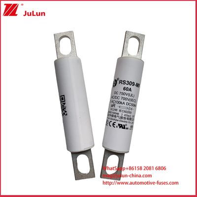 RS309-MF 60A DC750C كومة شحن الشاحنات الثقيلة السيارات الكهربائية الحافلات الكهربائية الشاحنات الخفيفة الكهربائية والفيوزات الكهربائية