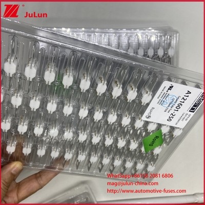 ASTM A121601-250A 125VDC EV فيوز بطارية