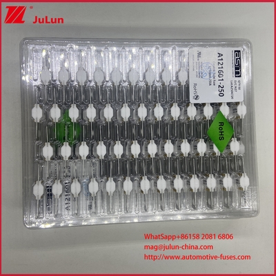 ASTM A121601-250A 125VDC EV فيوز بطارية