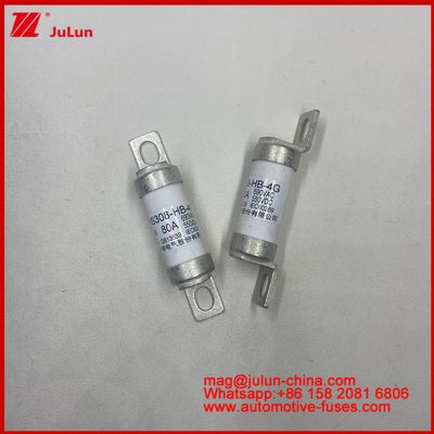 Frequency Converter AR Usage Category Ceramic Automotive Fuses RS308-HB-4G 80A 550VDC 690VAC With Ceramic Copper Silver Quartz Sand Gold Material