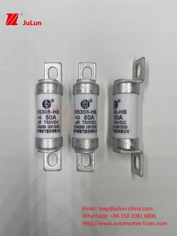 فيوز للسيارات الكهربائية للسيارات الكهربائية لـ DC750V FUSE DC750V 10A 15A 20A 25A 30A لتطبيق السيارات RS308