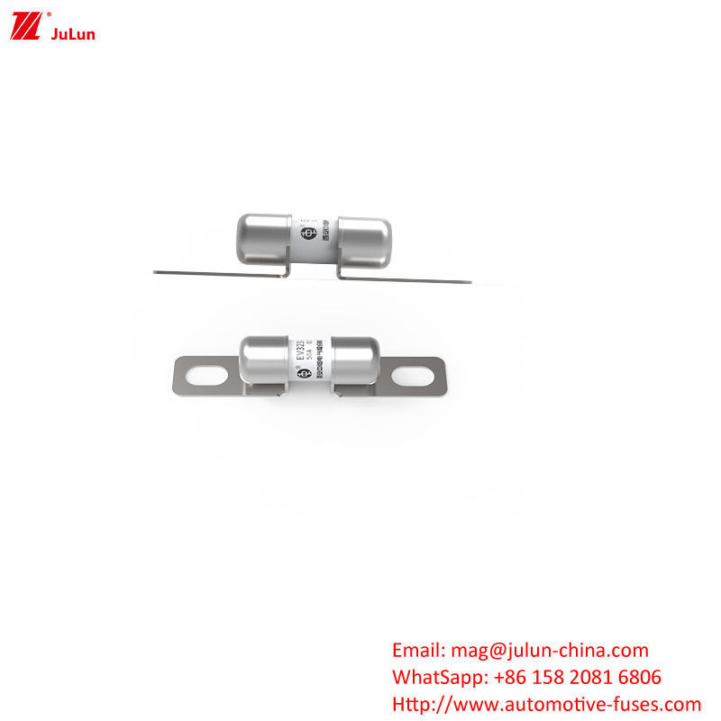 50A DC250V فيوز شاحن المركبات الكهربائية المحمولة مع الاندماج المتوسط