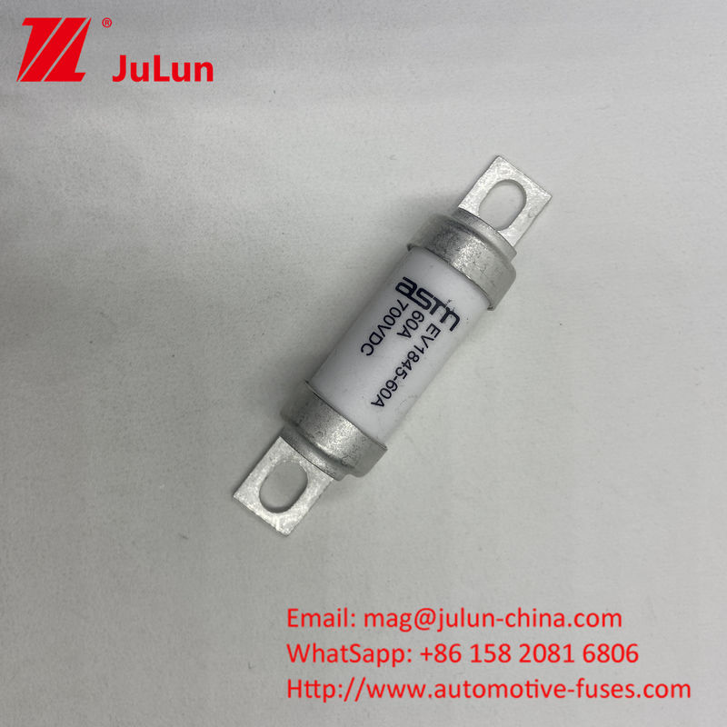 ASTM EV1845 150A الخروج سيارة كهربائية فيوز 10kA كسارة القدرة المسمار M8 M6 تركيب