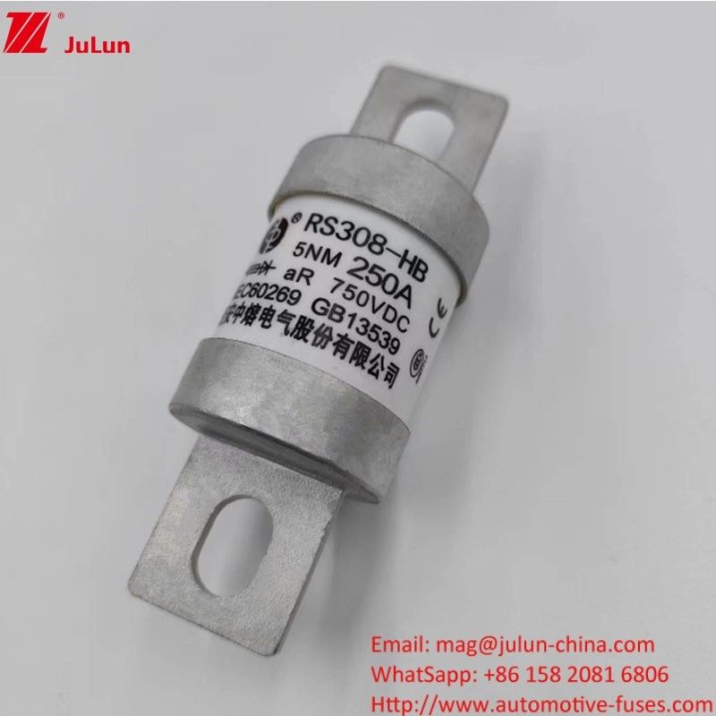200A 250A 300A -400A محور فيوز المركبات الكهربائية M8 M6 طريقة التثبيت الطرف النهائي نوع 750VDC فيوز الطاقة