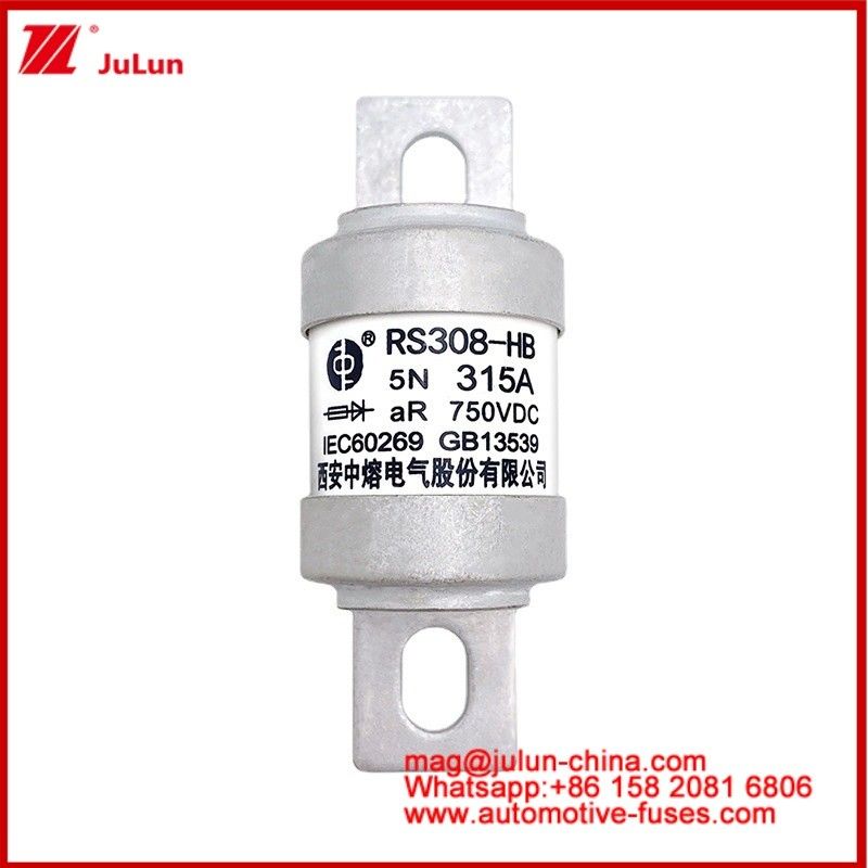 M6 5N 315A AR 750VDC-1 السيارة الكهربائية التأمين الجر الكاريميكية القوة الأنبوبية تحويل تخزين الطاقة على متن شاحن