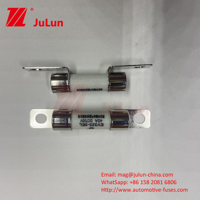 10x38mm السيراميكية مصابيح السيارات الكبسولة مثبتة EV FUSE موثوقية البيئة تتوافق مع ISO8820