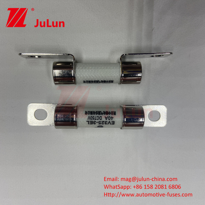 ISO8820 أجهزة التخزين السريرية للسيارات 30A 40A 50A 750VDC 10 * 38mm EV325