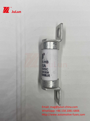 63A RS308 HB فيوز مصفوفة 80A 10A 15A 40A مصابيح السيارات السيراميكية مع مصابيح