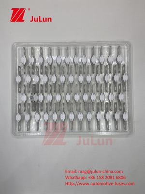 السيراميك للسيارات ASTM A121601 فيوز السيارة الكهربائية 300A 125VDC شحن تخزين الطاقة