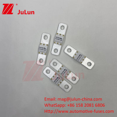 ASTM FUSE 121601 80A 125VDC فيوز السيارة الكهربائية