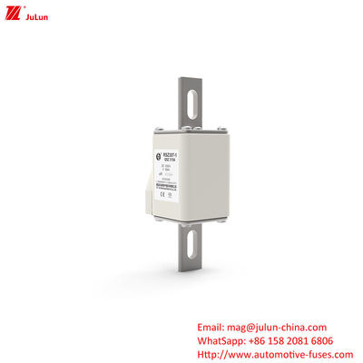 160A-550A DC1000V فيوز المركبات الكهربائية RSZ307-1-Q5Z النوع النهائي من فيوز البولت