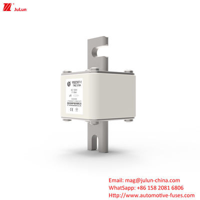 315A DC250V فيوز شاحن EV المحمول الحل النهائي لأصحاب EV